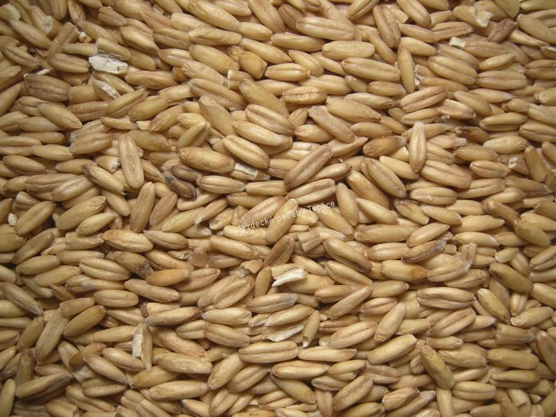 OVES loupaný, bezpluchý 1kg