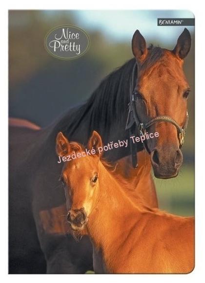 Školní sešit Horse A5 kostičkovaný / 96 listů
