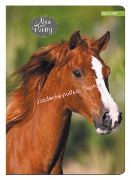Školní sešit Horse A5 kostičkovaný / 80 listů