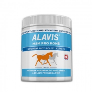 ALAVIS MSM 99,97% 600g
